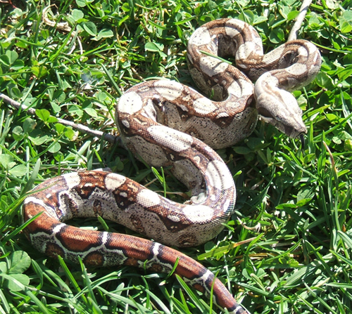 Outside!