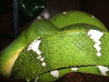 After misting