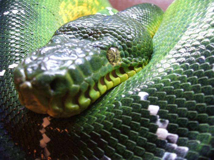 Time for your close-up!