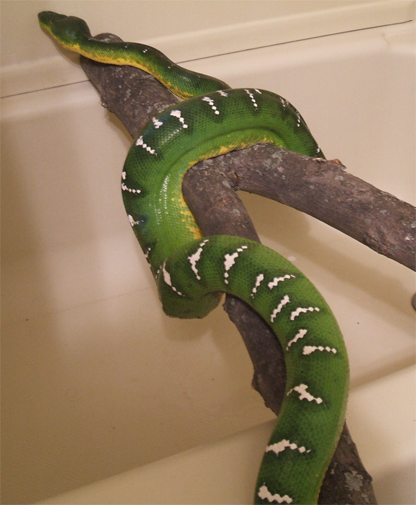 Hanging out