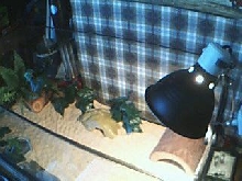 My Tank