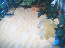 Cave and plants