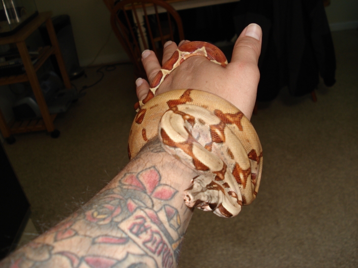 Zeus(MalePossSuperHypoPastelPink #4)