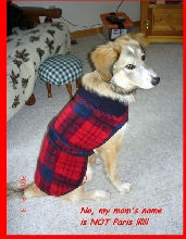 Bella's winter coat