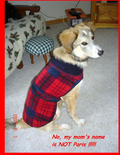 Bella's winter coat
