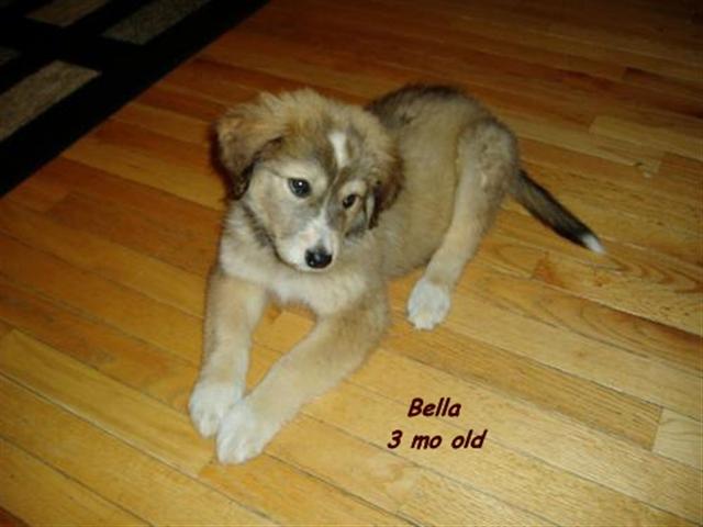 Baby Bella