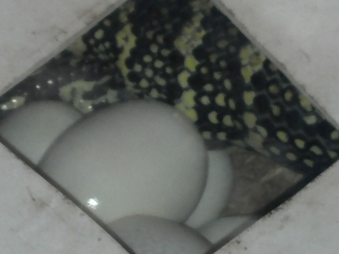 First Clutch 2012