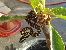 #3 Outside w/o Flash