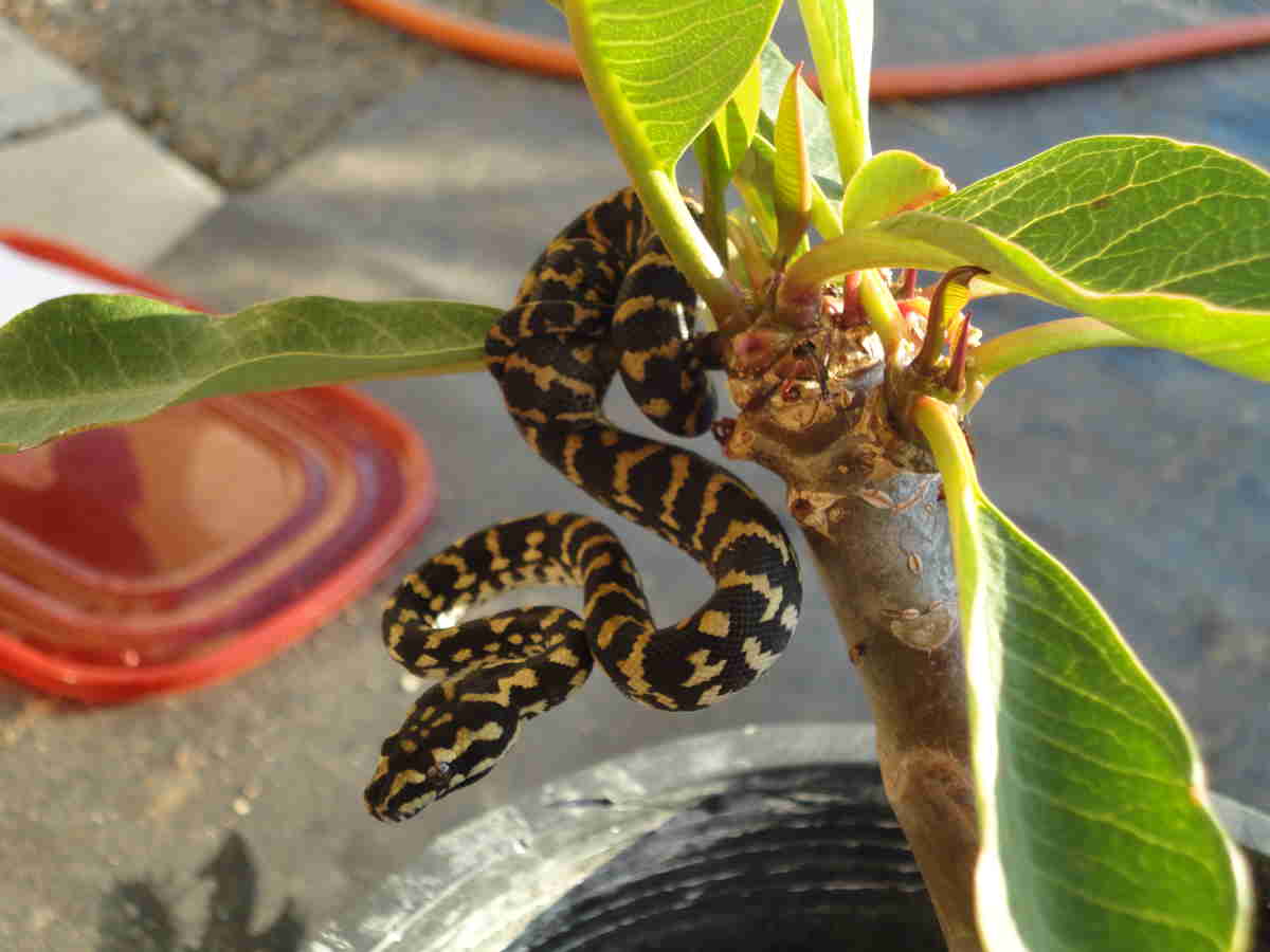 #3 Outside w/o Flash