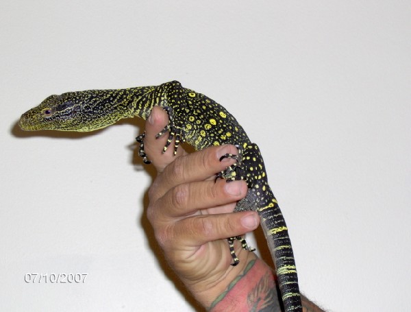 my croc (new photo)