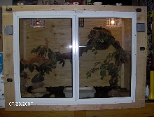 New croc enclosure