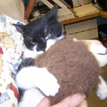 Tuffy & Her Lion