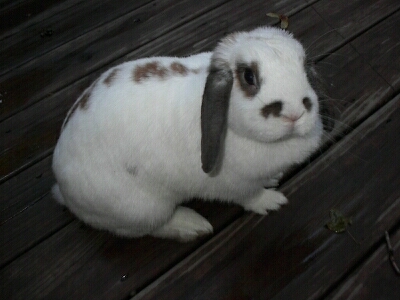 What you Looking at!!