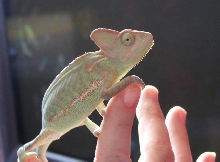 Deuce on May 22/2007