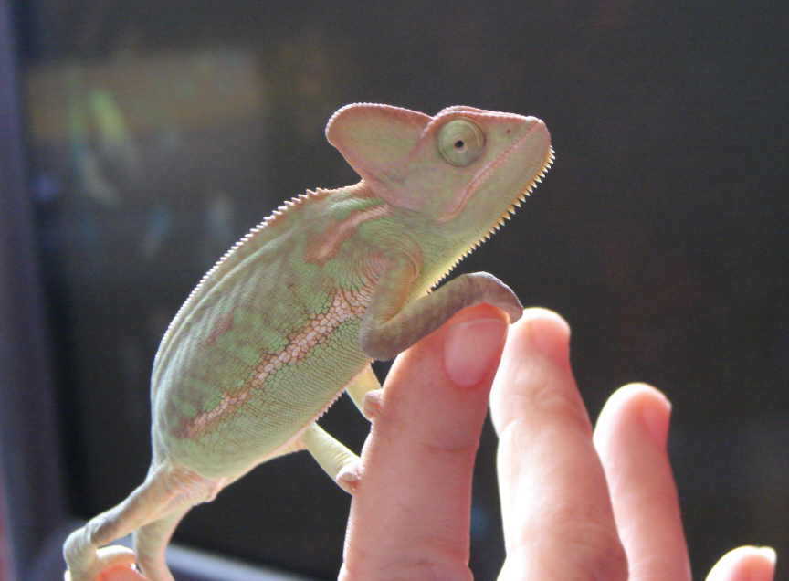Deuce on May 22/2007