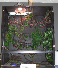 Deuce's new house