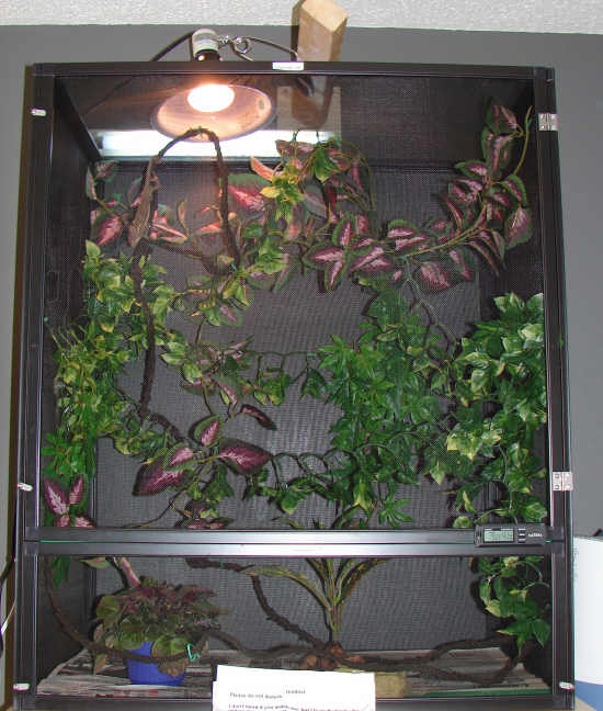 Deuce's new house