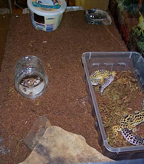 H&H Enclosure