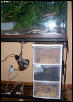Worm Holder
