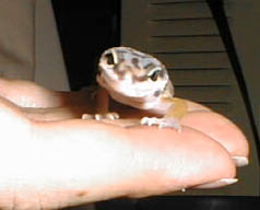 cute little face