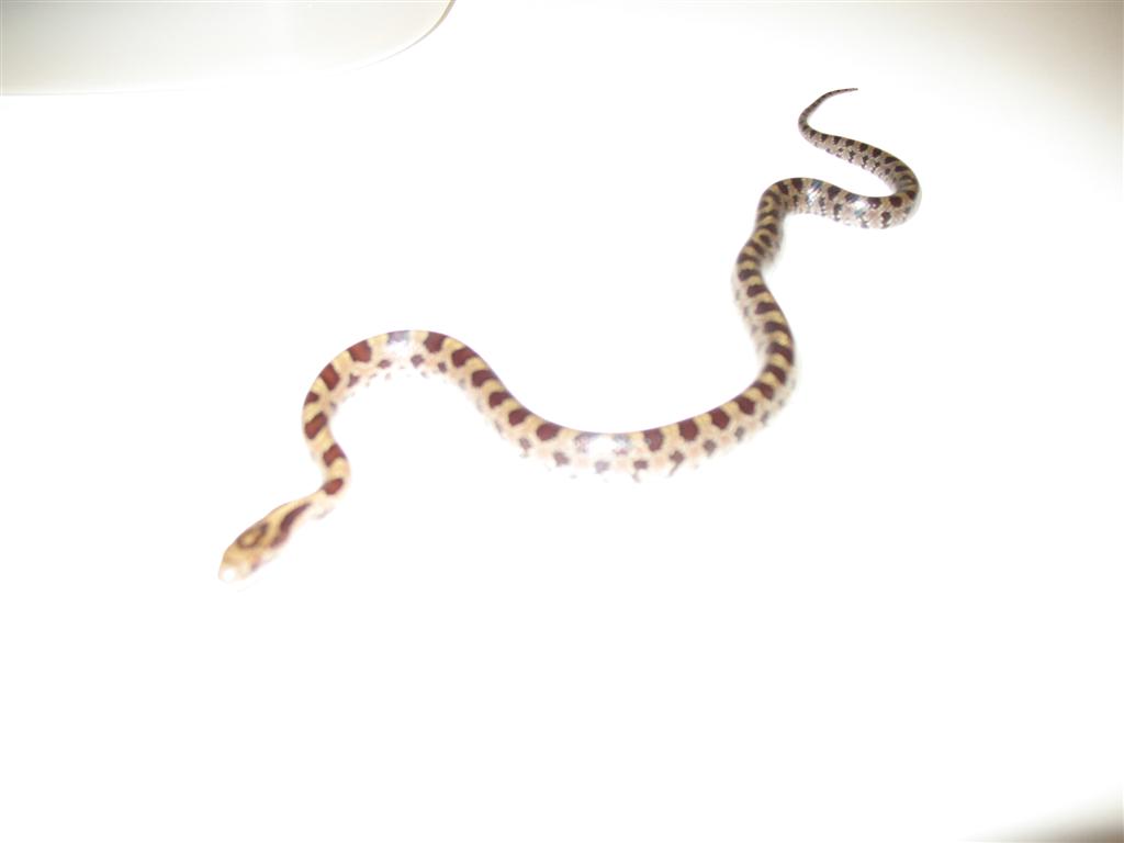 ?1