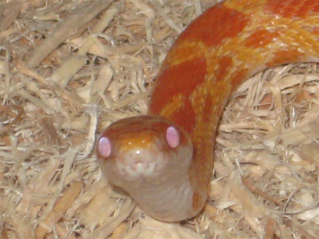 C9