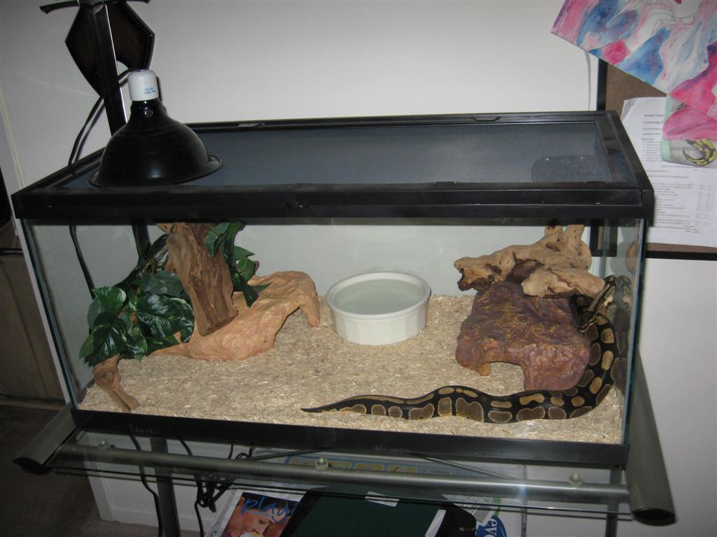 BP2