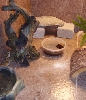 Lucy's enclosure