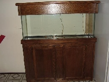fish tank01