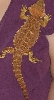 Ifrit and me