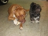 Zoe & Diesel
