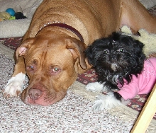Zoe& Diesel