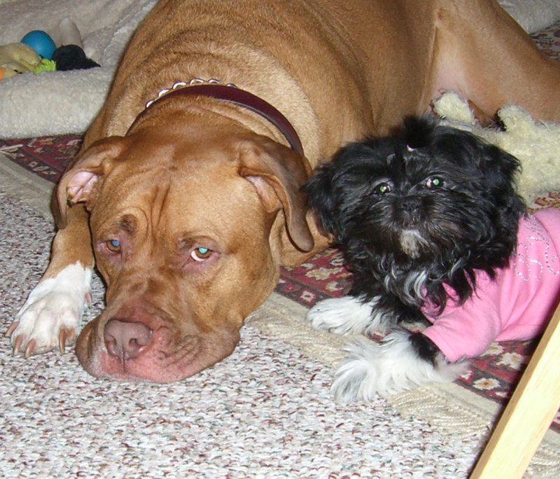 Zoe& Diesel