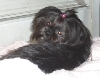 Zoe 4