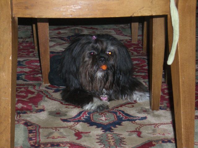 Zoe 6