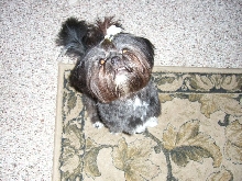 Zoe2