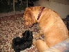 Zoe & Diesel