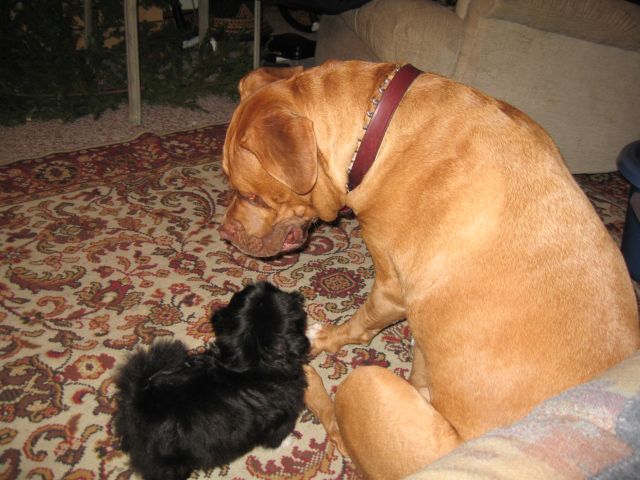 Zoe & Diesel