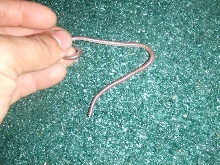 Thread Snake