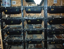 rat rack
