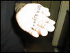 Art Gecko, day 1