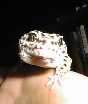 Isaac smiles for the world!
