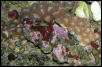 Saltwater Photos