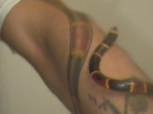 Living ink!