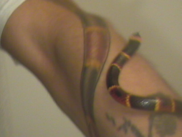 Living ink!