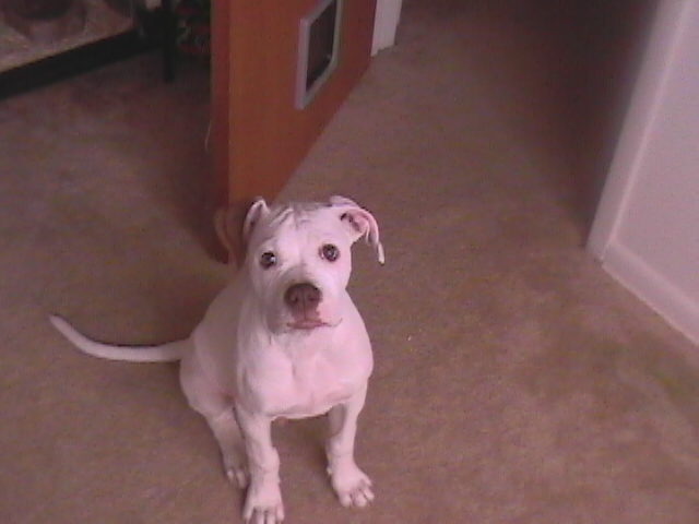 just a pup!