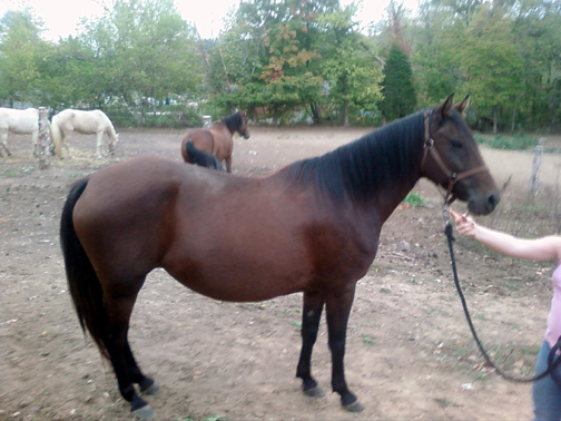 Athena right side
