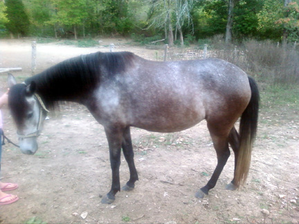 Cecelia left side
