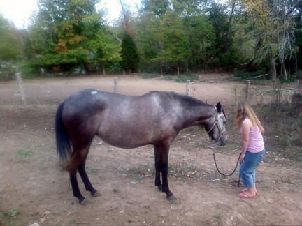 Cecelia right side