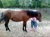 again Empresaria